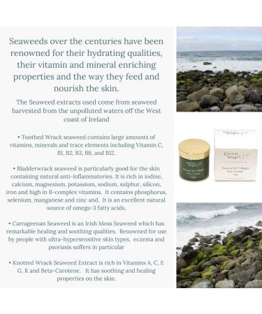 Green Angel Seaweed & Collagen Face Cream (50ml) - Hydrating Anti-Aging Moisturizer | Shop Internationally at YourStoreName - Buy Online on GoSupps.com