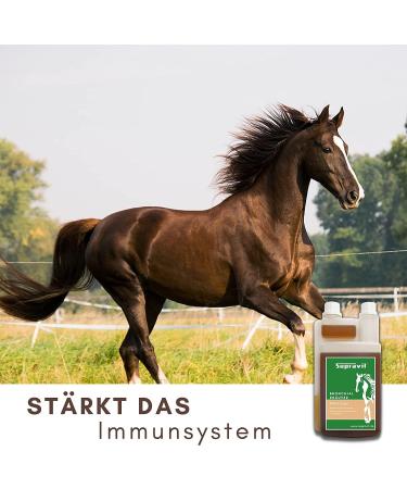 Supravit Bronchial Herbs for Horses | 1000ml Liquid Herbal Mixture | Supports Airway Health with 14 Natural Ingredients - Buy Online on GoSupps.com