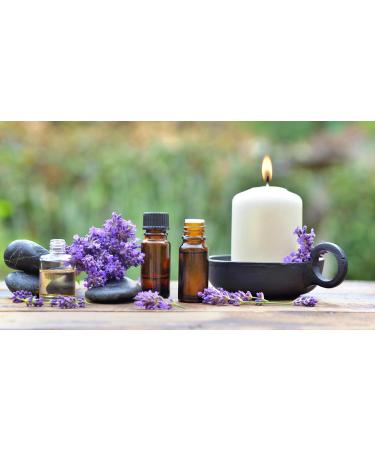 Kiki's Lavender Essential Oil with Glass Dropper | 100% Pure and Natural Lavender Oil | Premium Grade Essential Oils for Diffusers Skin Aromatherapy Massage | 4 Fl Oz - Buy Online on GoSupps.com