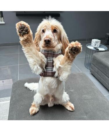 Bunty Tartan Small Dog Harness - Adjustable No Pull Puppy Harness for Small Dogs - Soft, Breathable, Anti-Pull - Red - Buy Online on GoSupps.com