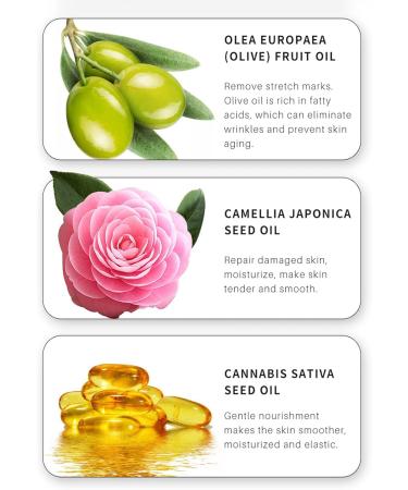L.C.Life Pfotenbalsam | Dog & Cat Paw Care with Shea Butter | Autumn/Winter Paw Protection & Wound Healing - Buy Online on GoSupps.com