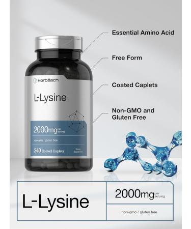 Horb ach L-Lysine 2000mg - 240 Caplets | Vegetarian Non-GMO & Gluten-Free Supplement for Immune Support - Buy Online on GoSupps.com