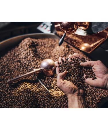  Caf Royal Royal Espresso Organic Fairtrade Max Havelaar Professional Line Coffee Beans 1 kg - Buy Online on GoSupps.com