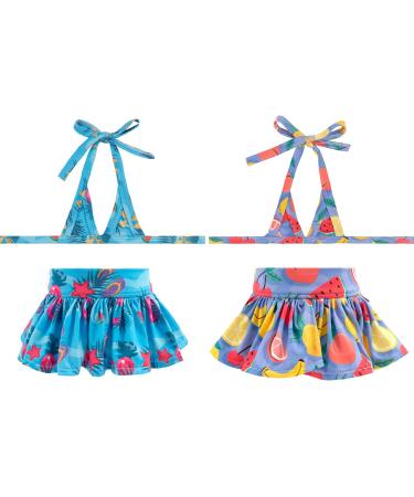 CuteBone Dog Bikini 2-Pack Swimsuit Puppy Bathing Suit for Small Dogs Clothes Girl Costume 2DB23S Small Beach&fruits