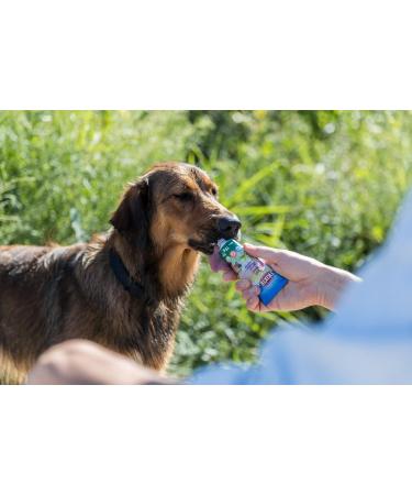 TRIXIE Gluten-Free Vegetarian Sugar-Free Veggie Cream Dog Treats - 75g - Healthy Snacks for Dogs - Buy Online on GoSupps.com