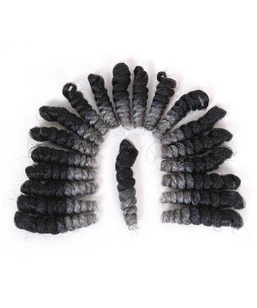 3 Packs Eunice Hair Saniya Curl Ombre Braids - 20 Inch Bouncy Synthetic Crochet Hair (1B Gray) - Free Hook Included - Buy Online on GoSupps.com