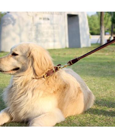 Picheng Leather Strips 1 Inch Wide 100 Inches Long - Ideal for Pet Collars, Belts, and DIY Craft Projects - Dark Brown - Buy Online on GoSupps.com