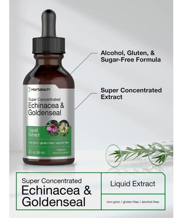 Echinacea Goldenseal Liquid Extract - 2 fl oz Alcohol Free Tincture | Vegetarian, Non-GMO, Gluten Free | Horbaach - Buy Online on GoSupps.com