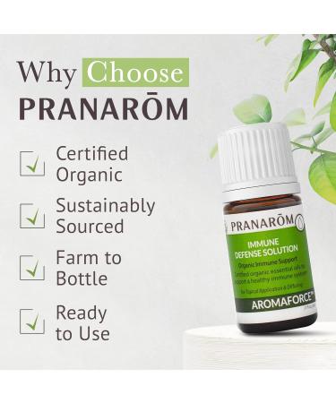 Pranarom - Aromaforce Immune Defence Wellness Blend - Eucalyptus, Rosemary, Peppermint, Corriander, and Clove Bud - 100% Pure Essential Oil Blend | USDA and ECOCERT Certified Organic (5ml) Rosemary,Eucalyptus 0.17 Fl Oz (Pa  - Buy Online on GoSupps.com