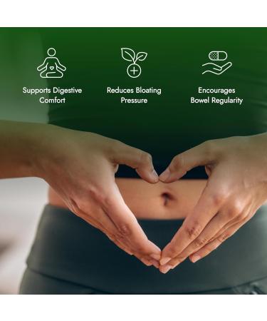 IBS Support - Vitamin D Psyllium Husk Fennel - 180 Capsules - 3 Month Supply 180 Count (Pack of 1) - Buy Online on GoSupps.com