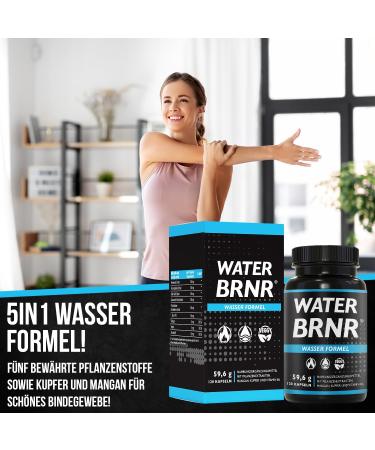 Water Brnr 5-in-1 Water Balance & Metabolism Formula - Vitamin B6 Nettle Extract Copper Horse Chestnut - 120 Capsules | Natural Diuretic for Healthy Weight Management - Buy Online on GoSupps.com