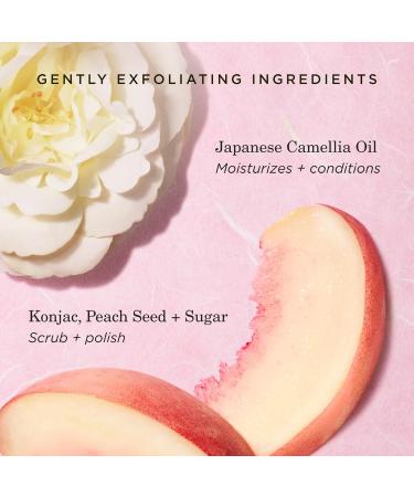 Tatcha Kissu Lip Scrub - Moisturizing Peach Seed Lip Exfoliant for Smooth Polished Lips | International Shipping Available - Buy Online on GoSupps.com