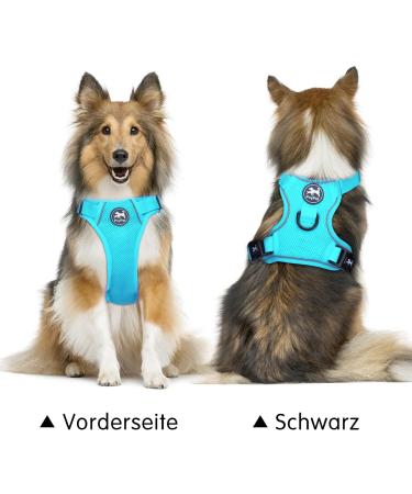 POPOTET Reflective Dog Harness - Soft Breathable Mesh Adjustable Neck & Chest Double Padded Vest No Suffocation - Blue Large - 1 Pack - Buy Online on GoSupps.com