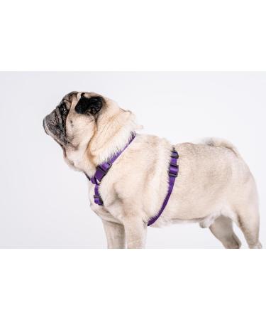 CHABA Adjustable Dog Harness for Large Dogs - Anti-Choking & Control - Lightweight Step-In Design - Perfect for Running - XL Violet - Buy Online on GoSupps.com
