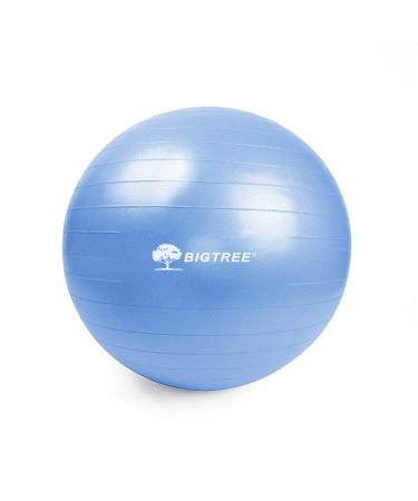BIGTREE Yoga Ball 2022 Upgrade Exercise Fitness Core Stability Balance Strength 600 lbs Capacity Anti-Burst Heavy Duty Prenatal Birthing Yogaball for Office Home Gym Blue 55cm