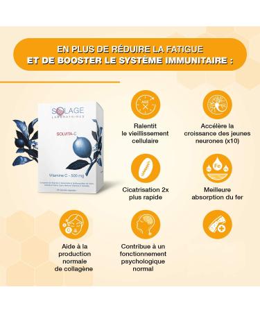 Vitamine C Liposoluble Vegan 500 mg - Ne Fait Pas Mal l'Estomac - Renforce le Syst me Immunitaire - Aux Extraits d'Ac rola et Camu-Camu 60 g lules Laboratoire Fran ais SOLAGE - Buy Online on GoSupps.com
