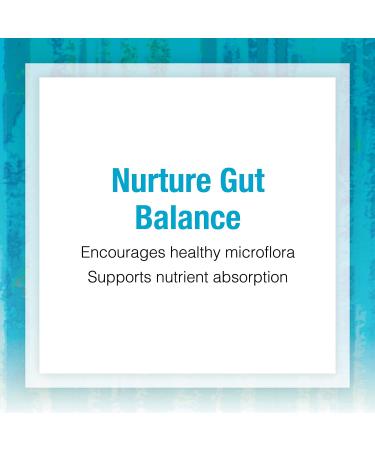 Natural Factors Ultimate Probiotic for Seniors - 35 Billion CFU, 30 Vegetarian Capsules - Buy Online on GoSupps.com