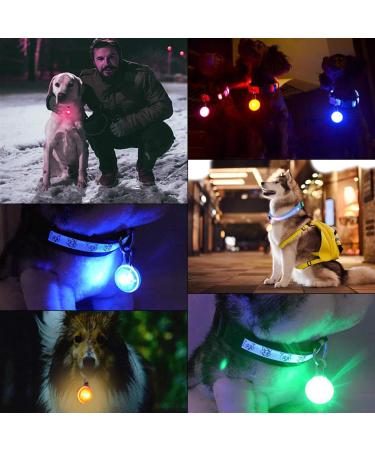 YMCCOOL LED Dog Collar Light Clip-On Pet 6 Pack Dog Lights for Collars Keychain Light with 6 Extra Replacement Batteries - Waterproof Safety Flashlight of Dogs and Cats Gifts for Pets Colorful 6 - Buy Online on GoSupps.com