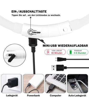 Nepfaivy Luminous Elbe Hund USB Charging Waterproof LED Dog Collar - Adjustable Length 3 Lighting Modes for Safety White Silicone | International Shipping - Buy Online on GoSupps.com