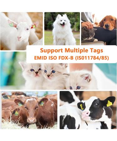 RFID Microchip Reader for Dogs & Cats - Chiplesger 134.2kHz 128 Memory ISO11784/85 Animal Identification - Buy Online on GoSupps.com