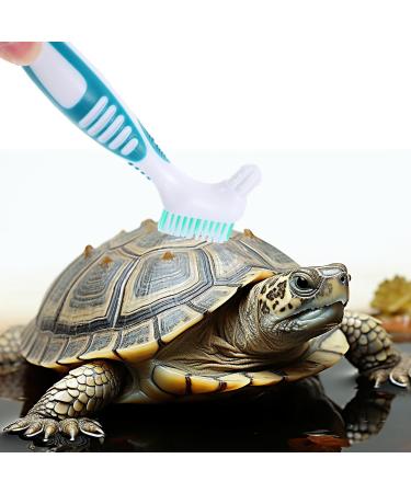 HAICN 2Pcs Turtle Cleaning Brush Turtle Shell Cleaning Brush Mini Double-Sided Cleaning Brush Removes Mud Dirt Debris for Animal Shell Health - Buy Online on GoSupps.com