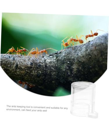 Minkissy Pet Water Ant House - Ant Farming Castle & Habitat Kit for Observation | Ant Farm Ant Colony Acrylic Nest 2.8x2.5cm - Buy Online on GoSupps.com