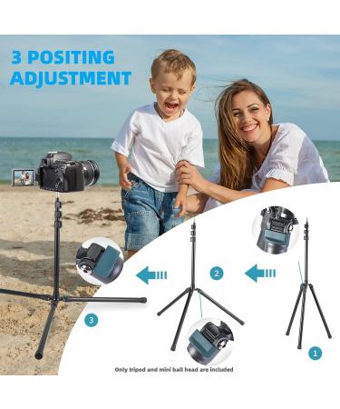 Adjustable 78.7 Aluminum Photography Tripod Stand with Ball Head - Compatible with Lights, Cameras, Projectors, & More - Buy Online on GoSupps.com