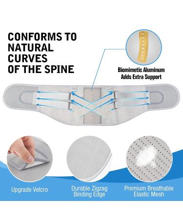EGjoey Lower Back Brace for Herniated Disc & Sciatica Relief - Removable Stays, 2 Hardness Sets - Grey, Large - Buy Online on GoSupps.com