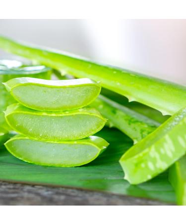  HAIR BODY STORE EPIKOA PRE-WAXING LOTION ALOE VERA Pre-wax gel removes skin residue before sugaring or Brazilian hot wax hair removal 250 ml Made in Italy - Buy Online on GoSupps.com