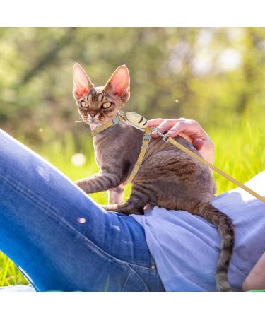 Adjustable Tiesome Cat Dishes & Leash Set | Color Gradient Outdoor Kitten Bowls - Yellow - Buy Online on GoSupps.com
