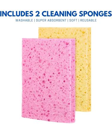 Bar Keepers Friend All Purpose Cleaning Bundle-1x Stain Remover Multi Surface Cleaner Powder 250g 1x All Purpose Power Cream Surface Cleanser 350ml | 2x Washable Sponge Wipes - Buy Online on GoSupps.com