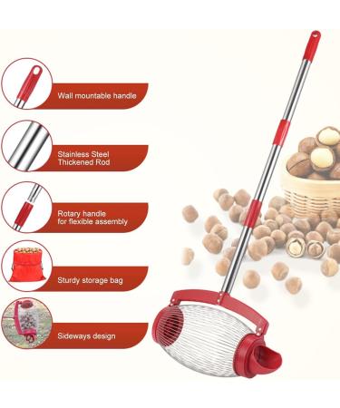 Buy Linsition Nuss Collector - Adjustable Nut Collector for Walnuts Small Fruits & Rubber Balls | International Shipping Available - Buy Online on GoSupps.com