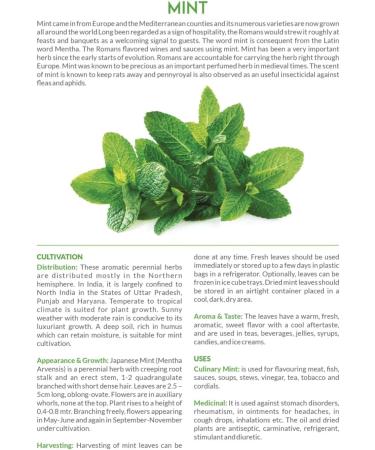 Mum's Premium Peppermint Herb Powder Seasoning 100g | Mint - Pudina Powder - Buy Online on GoSupps.com