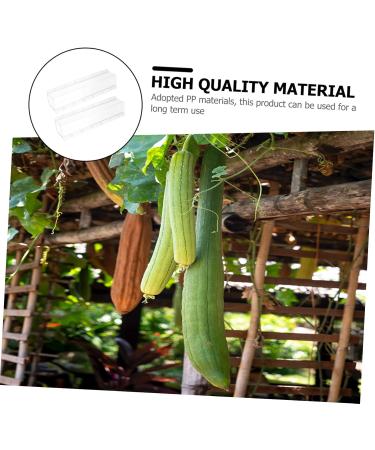 Toddmomy Vessel Tools 6 Pcs Square Cucumber Molds Vegetables Fruit Growing Molds Gardening Supplies Ginseng Fruit Gourd - Buy Online on GoSupps.com