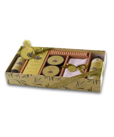 Olive No.047 - 7-Part Bathing & Care Set | Raphael Rosalee Cosmetics - Massage Scooter Towel & Peeling Exfoliator for Luxurious Self-Care - Buy Online on GoSupps.com