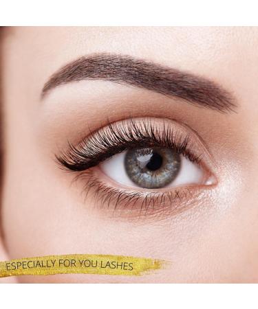 500 Loose Promade Fans | Volume Eyelash Extensions | 3D to 20D | C CC D L M | 0.03-0.1mm | 8-20mm Length | Long Lasting & Easy Application - Buy Online on GoSupps.com