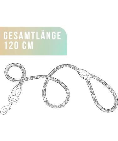 Ne & No Touting Training Leash for Dogs | 1.2m Robust Braided Rope Leash | Sage Green Dog Leash with Hand Loop - Buy Online on GoSupps.com