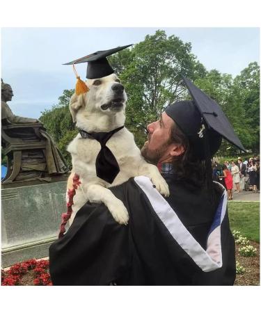Pet Graduation Caps with Neck Tie Dog Tassel Cap Black Polyester Pet Cap for DIY Dogs Cats Holiday Costume Accessory - Buy Online on GoSupps.com