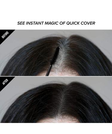 Kiss Quick Cover Gray Hair Touch Up Black Set - Moisturizing & Shine Brush + Stick Type - Buy Online on GoSupps.com