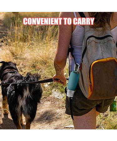 Dog Feeding Tube Silicone Travel Bottle For Toiletries Leak Proof Refillable Squeezable Containers Food Tube For Dog Fillable Tubes For Dogs With Carabiner 90 Ml Water Hose For Pets Green - Buy Online on GoSupps.com