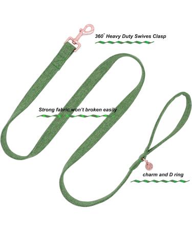 Dogwong Green Dog Leash - Comfortable Adjustable Pet Line for Small & Medium Dogs (Pack of 1) Ideal for Boys & Girls - Buy Online on GoSupps.com