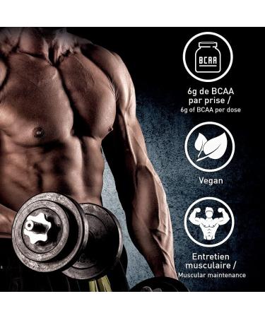 BCAA TABLETS 10.1.1 - Amino Acids Vegan Bodybuilding Highly Dosed - Your Ally For Effective Workouts - Enhanced Performance - Program 30J - French Laboratory Eric Favre - Buy Online on GoSupps.com