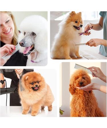 Stainless Steel Pet Comb | Detangling Tool for Dogs and Cats | Grooming Tool for Small, Medium, and Large Pets - Buy Online on GoSupps.com