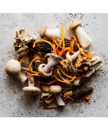 Organic Irish Sea Moss Capsules - 60 Vegan Capsules | GMO Free | Gordon Watkins Botanical Blend - Buy Online on GoSupps.com