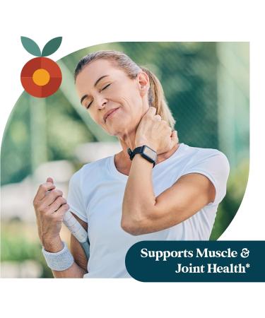 Pattern Wellness Fibro Complex Advanced Formula with BioPerine for Nutrient Absorption Supports Muscle Joint & Mobility Health 90 Vegan Capsules 90 Count (Pack of 1) - Buy Online on GoSupps.com