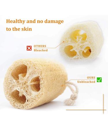 3 Pack Natural Loofah Sponges for Exfoliating Bath and Kitchen Cleaning - Buy Online on GoSupps.com