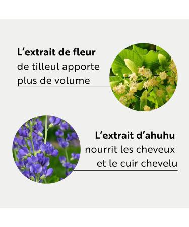 ahuhu THICKENING Organic Caffeine Shampoo XXL Size (500 ml) - Organic Caffeine Shampoo for Thick Revitalized Hair Lifts Roots and Provides Instant Volume - Buy Online on GoSupps.com