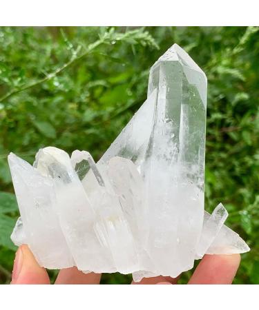 Natural White Quartz Crystal Cluster Specimen ERTEYIN (Size : 120-150g) - Buy Online on GoSupps.com