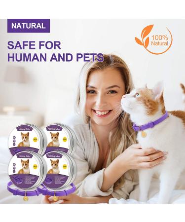 4 Pcs Lavender Scent Calming Cat Collar Set | Adjustable & Relaxing for Cats and Puppies | Reduce Stress & Anxiety | Up to 15 Inches | Purple & Gold - Buy Online on GoSupps.com