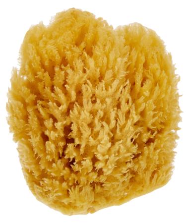 CROLL & DENECKE natural sponge natural 12 cm 1 piece (1 pack)